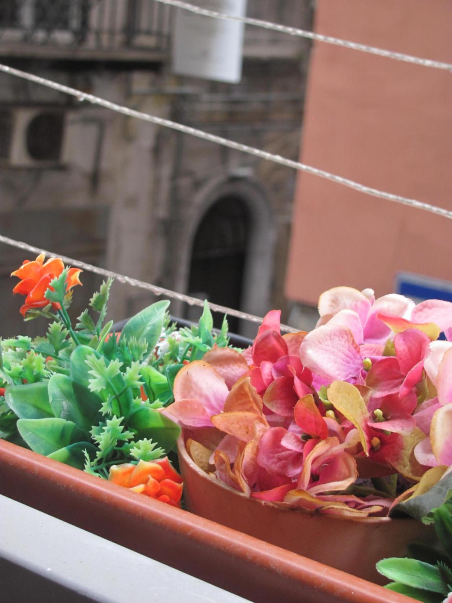 Ferienwohnung La Conchiglia Napoli Exterior foto